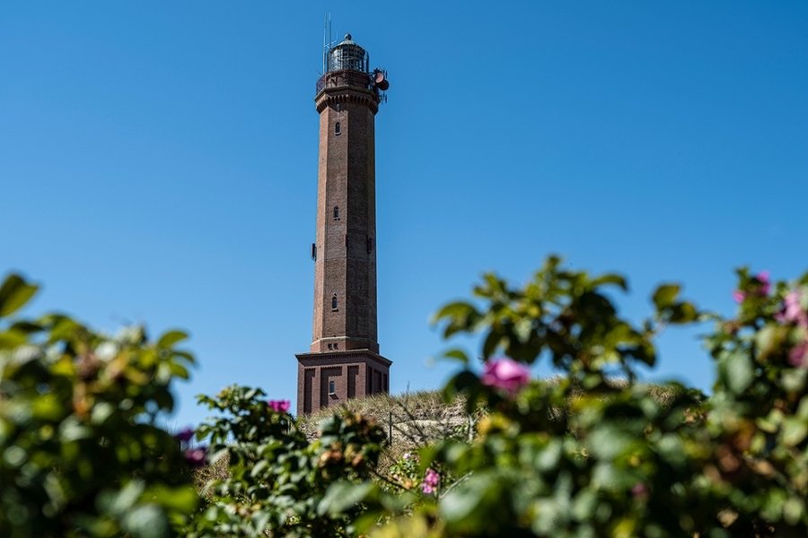 Der Leuchtturm von Norderney mit Dünen im Vordergrund Der Leuchtturm von Norderney mit Dünen im Vordergrund